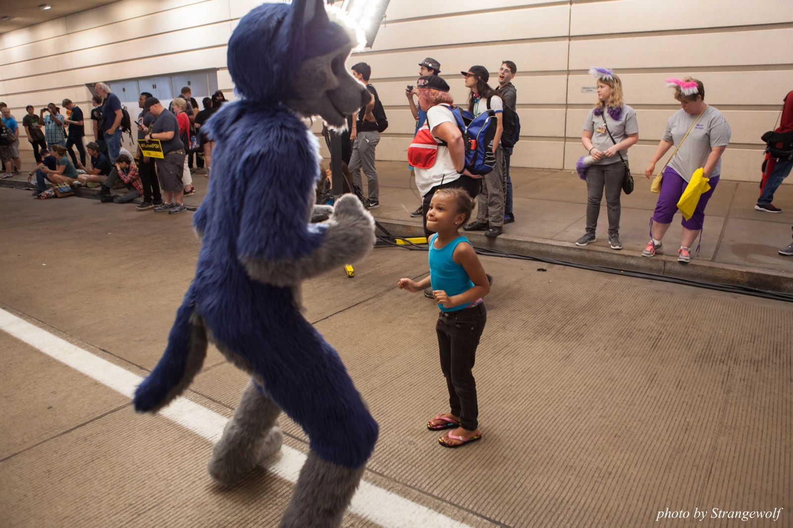 full image IMG_8083-lr16t.jpg