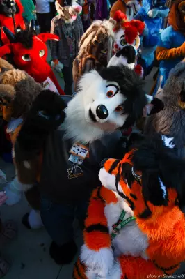 IMG_0690-lr.jpg of MFF/MFF2013/