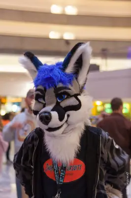 IMG_1918-lr19t.jpg of FWA/FWA2018/