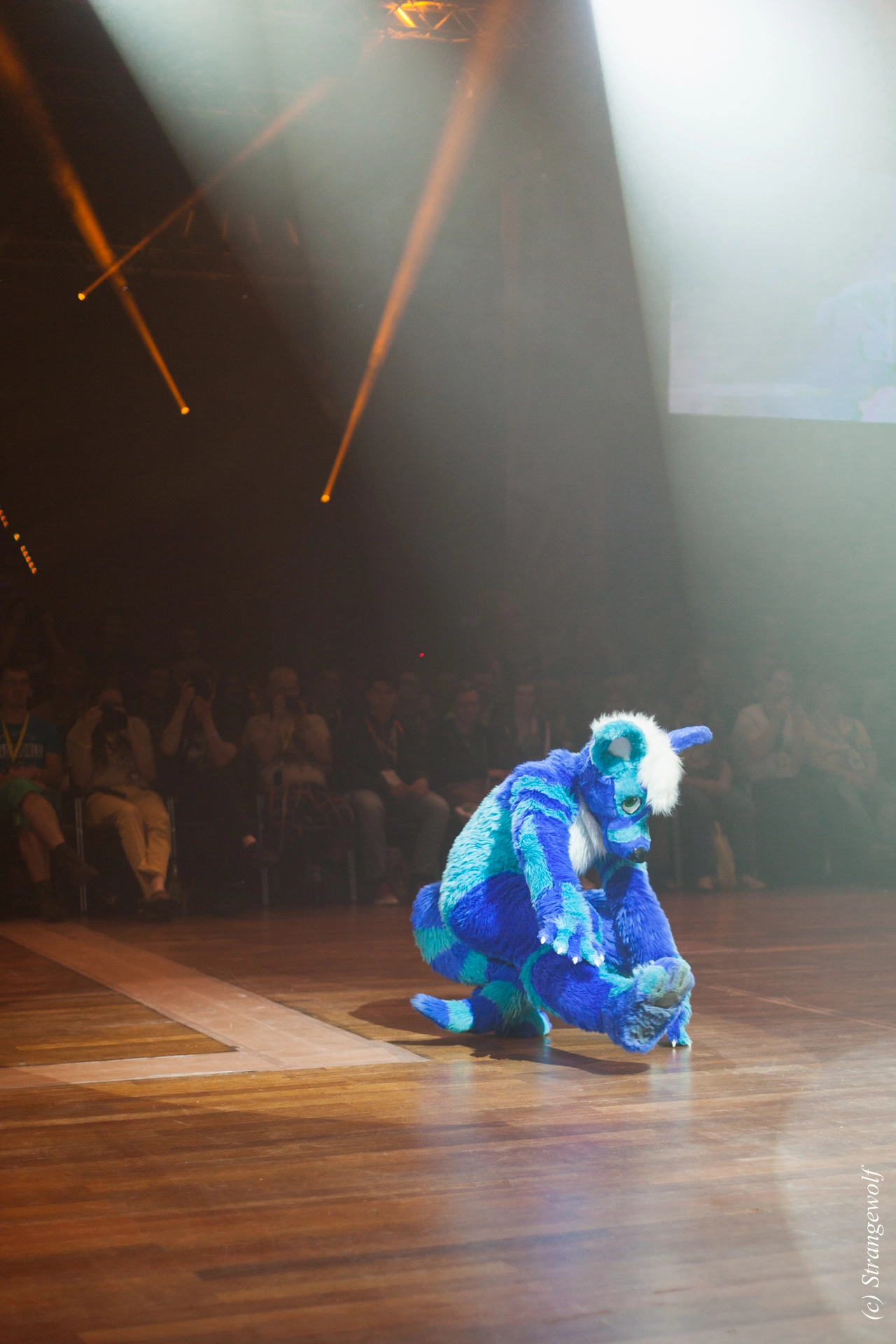 full image IMG_6419-lr19t.jpg