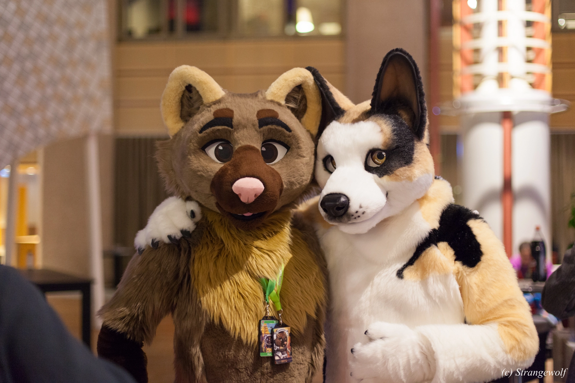 full image IMG_0932-lr19t.jpg