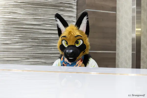 1R3A3249-lr19t.jpg of BLFC/BLFC2023/