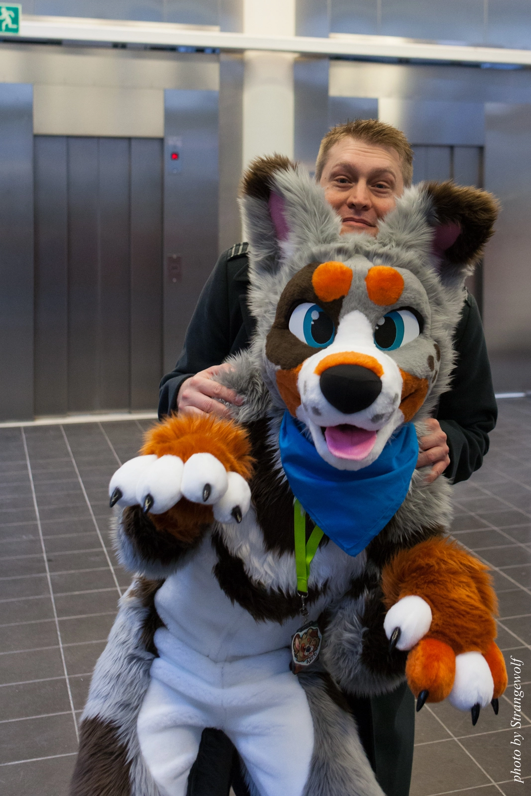 full image IMG_1661-lr16t.jpg