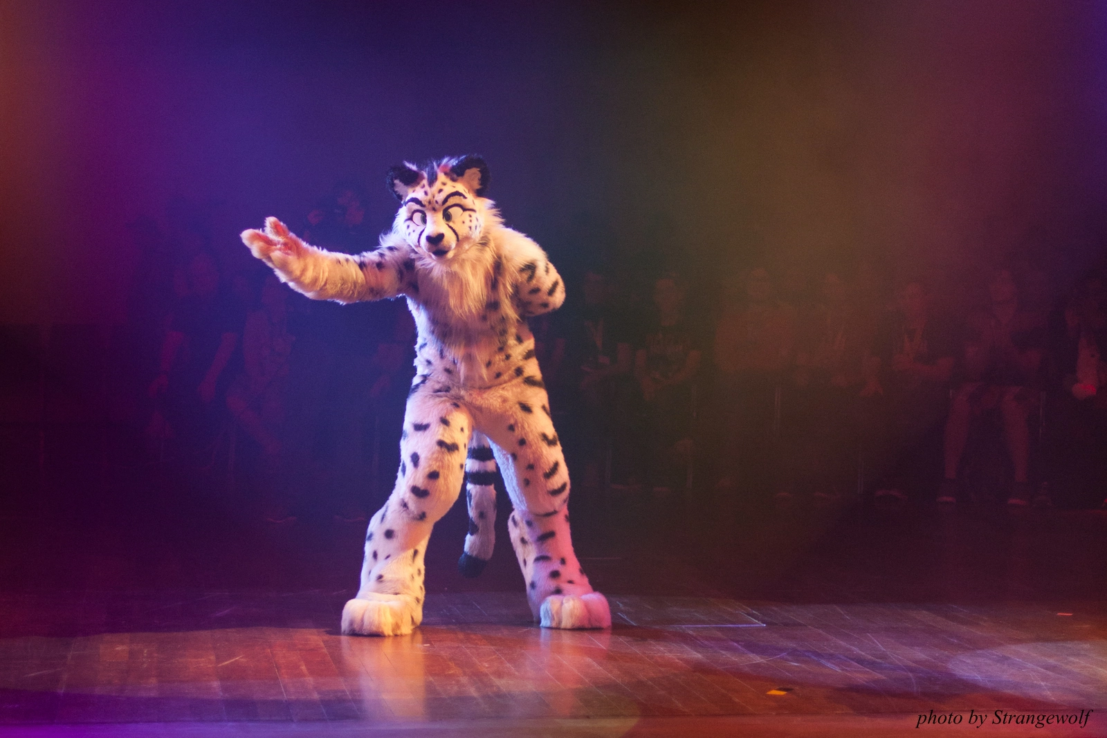 full image IMG_2589-lr16t.jpg