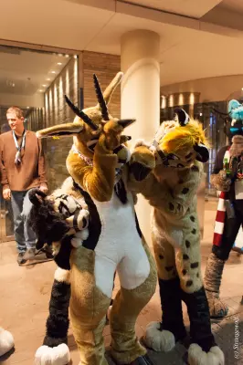 IMG_7000-lr19t.jpg of MFF/MFF2018/