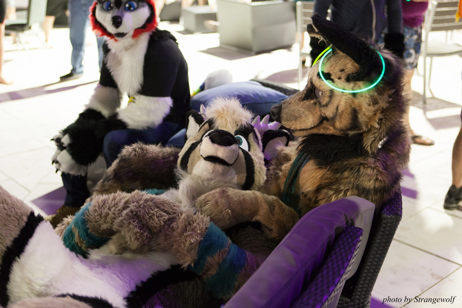 full image IMG_8682-lr16t.jpg