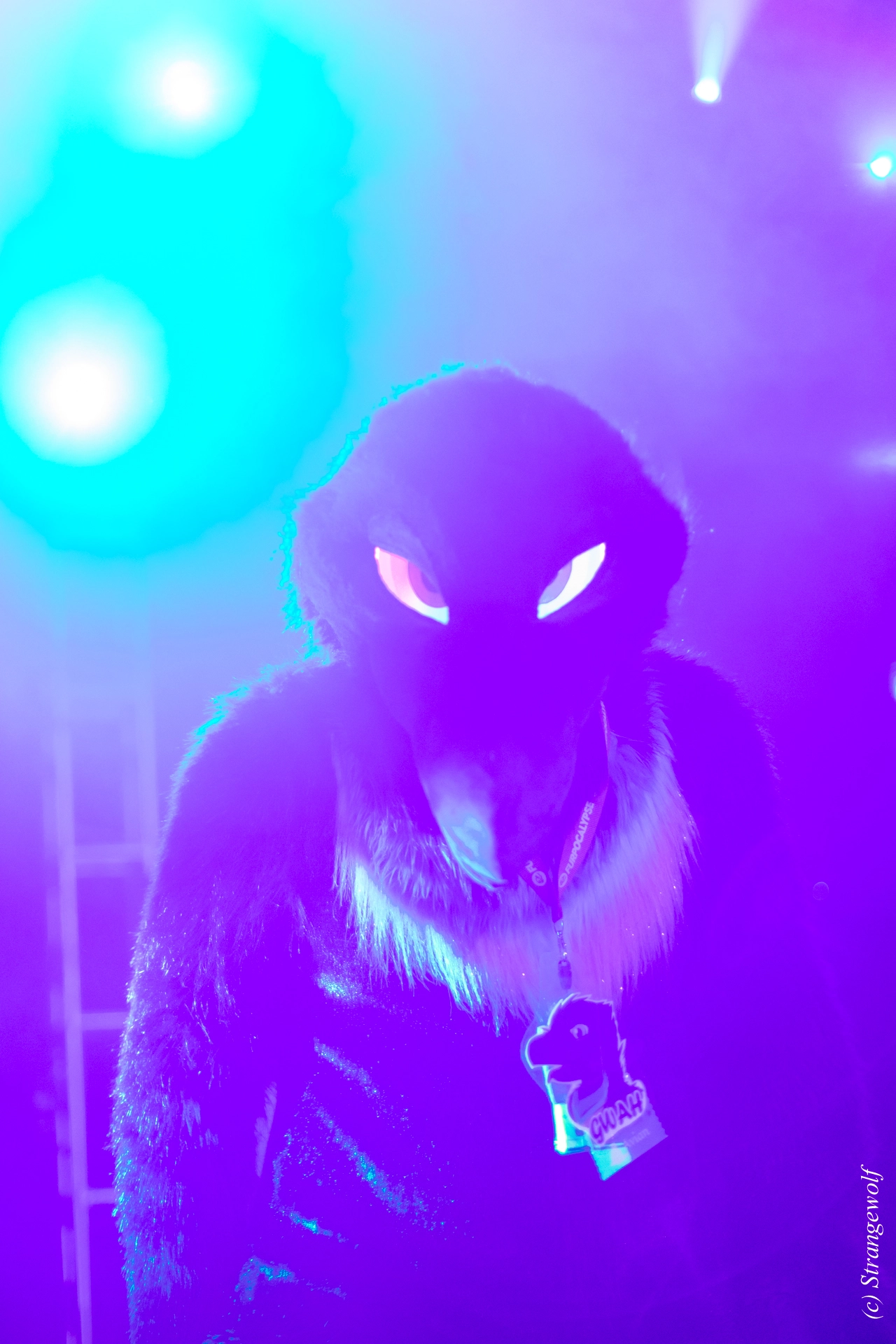 full image 1R3A0550-lr19t.jpg