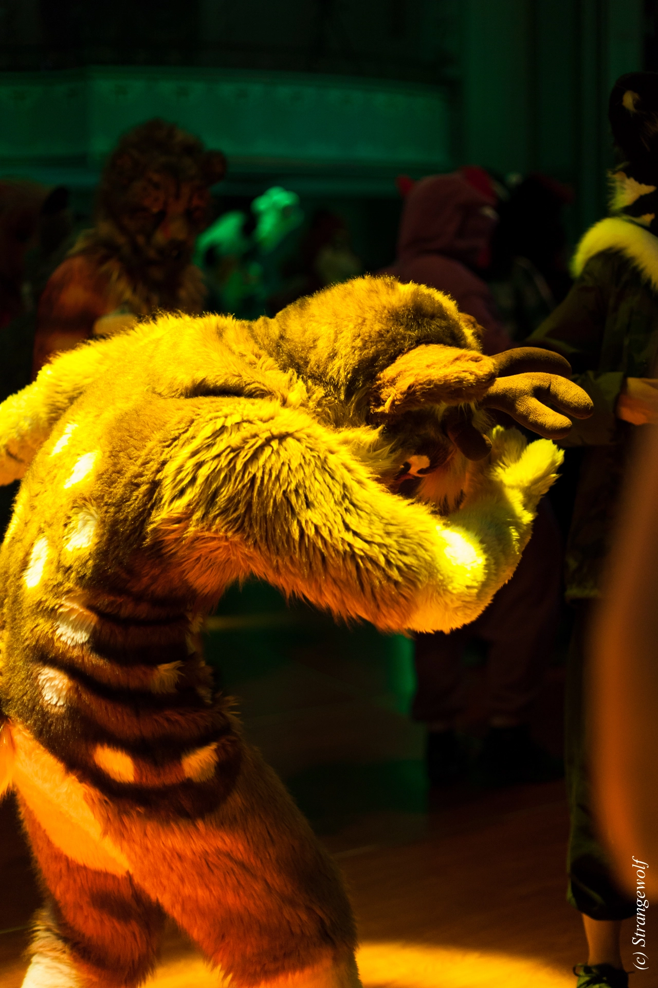 full image IMG_3068-lr19t.jpg