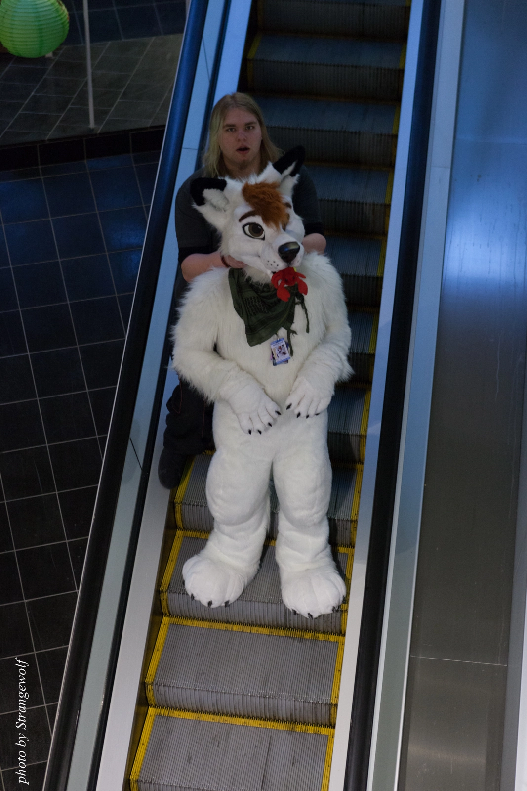 full image IMG_1717-lr16t.jpg