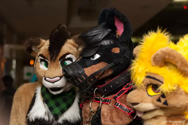 IMG_7579-lr19t.jpg of MFF/MFF2018/