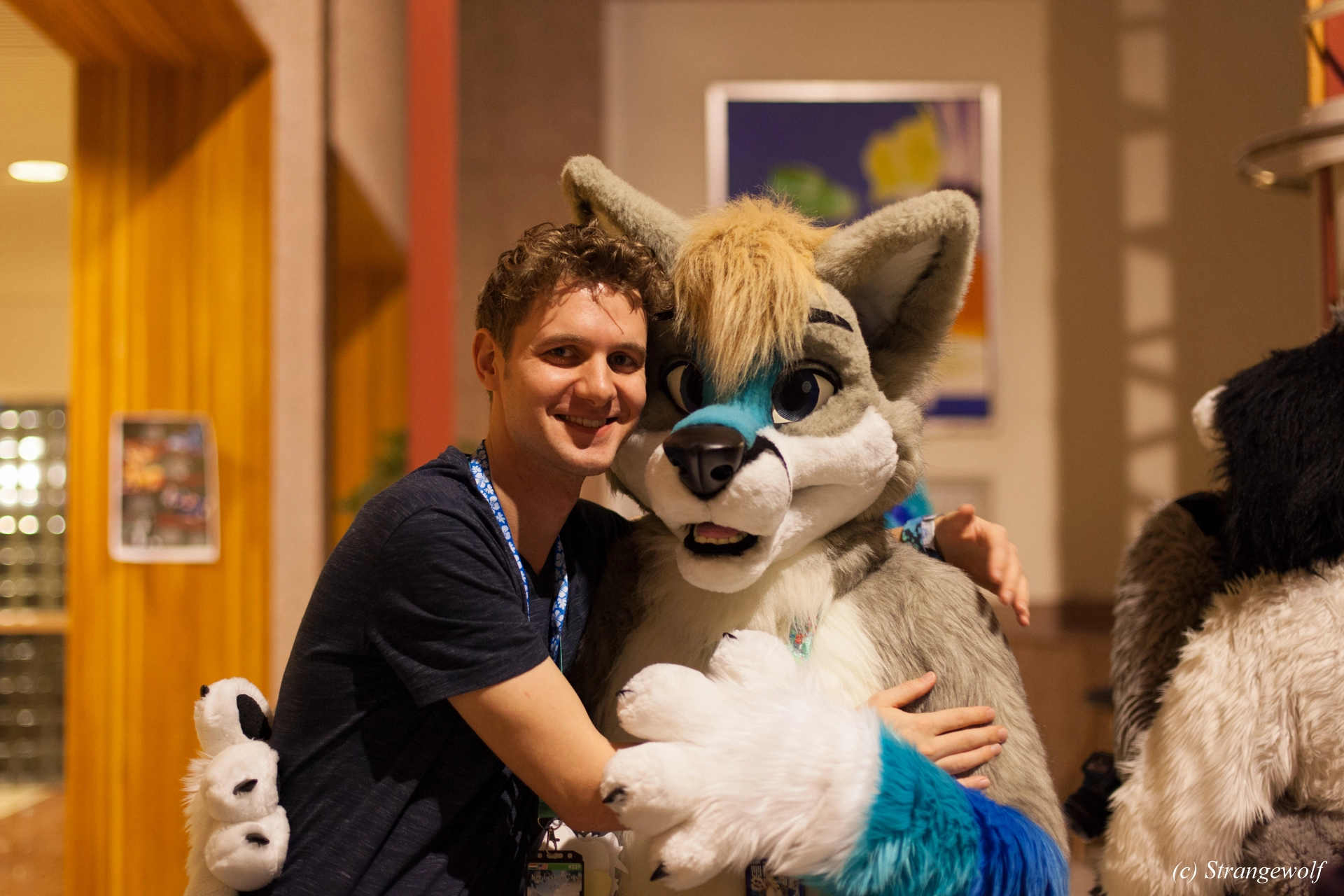 full image IMG_9623-lr19t.jpg