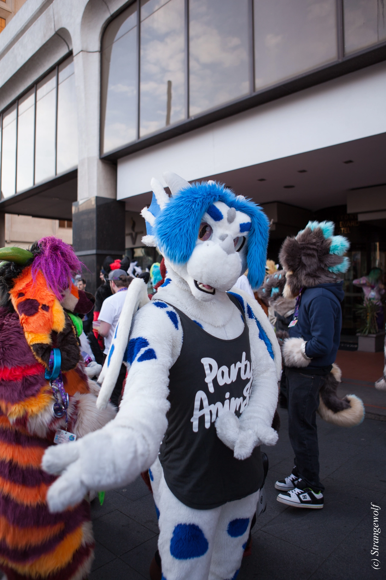 full image IMG_4574-lr19t.jpg