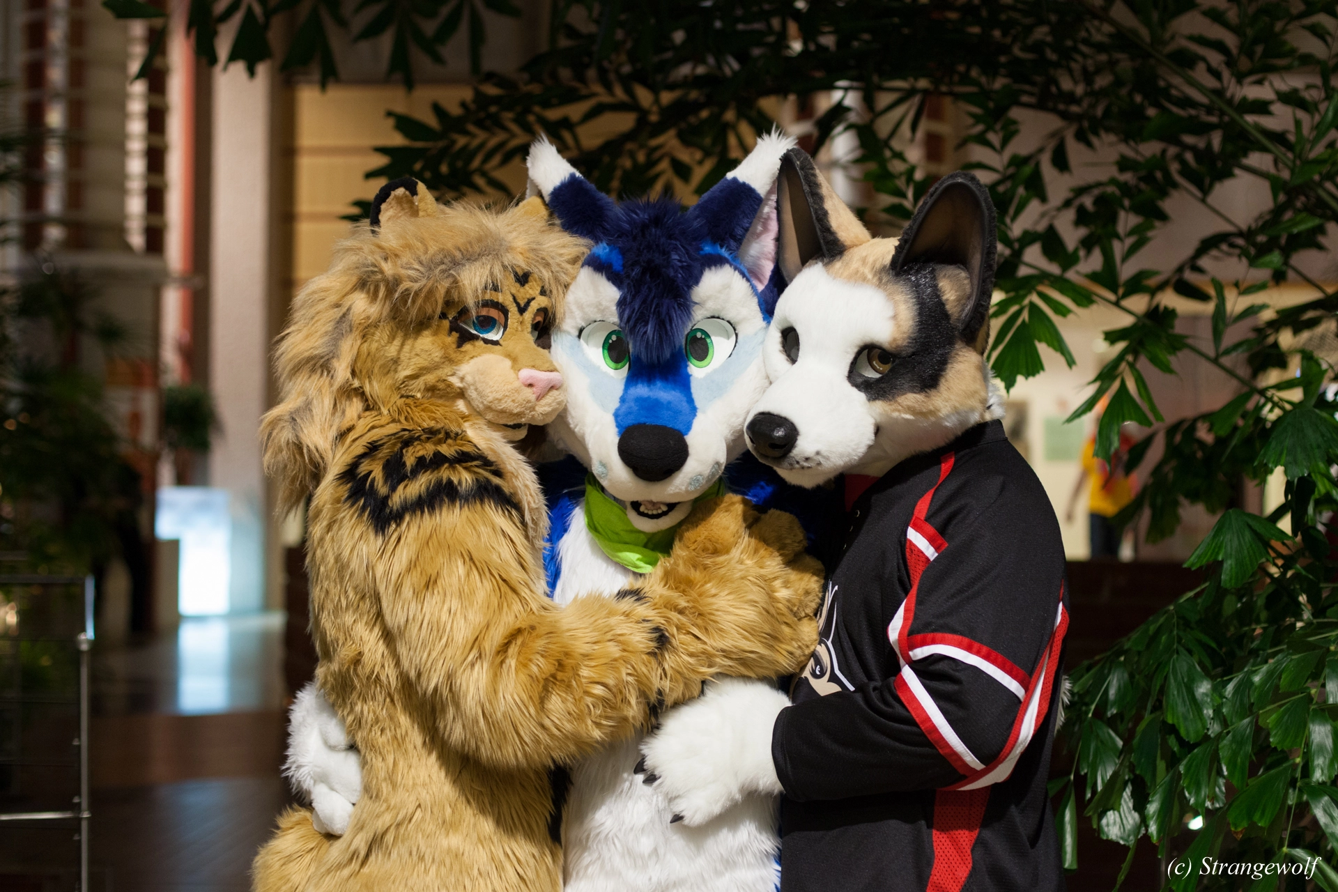 full image IMG_9040-lr19t.jpg