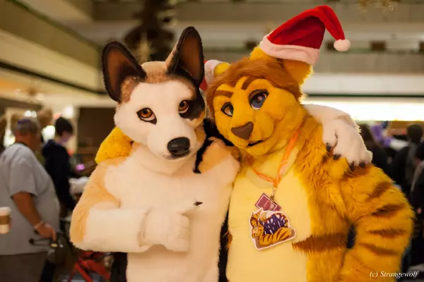 IMG_8089-lr19t.jpg of MFF/MFF2017/