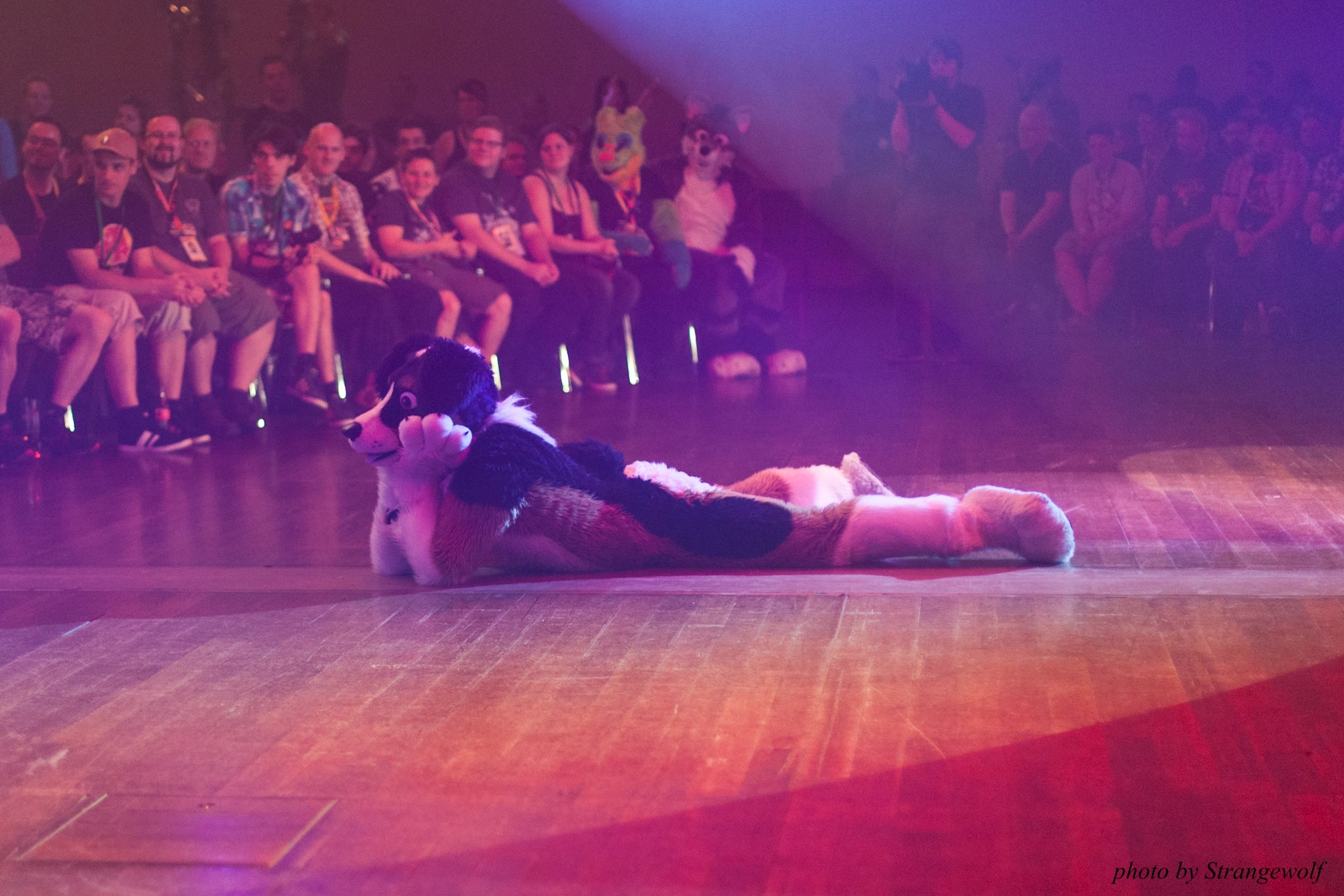 full image IMG_2538-lr16t2.jpg