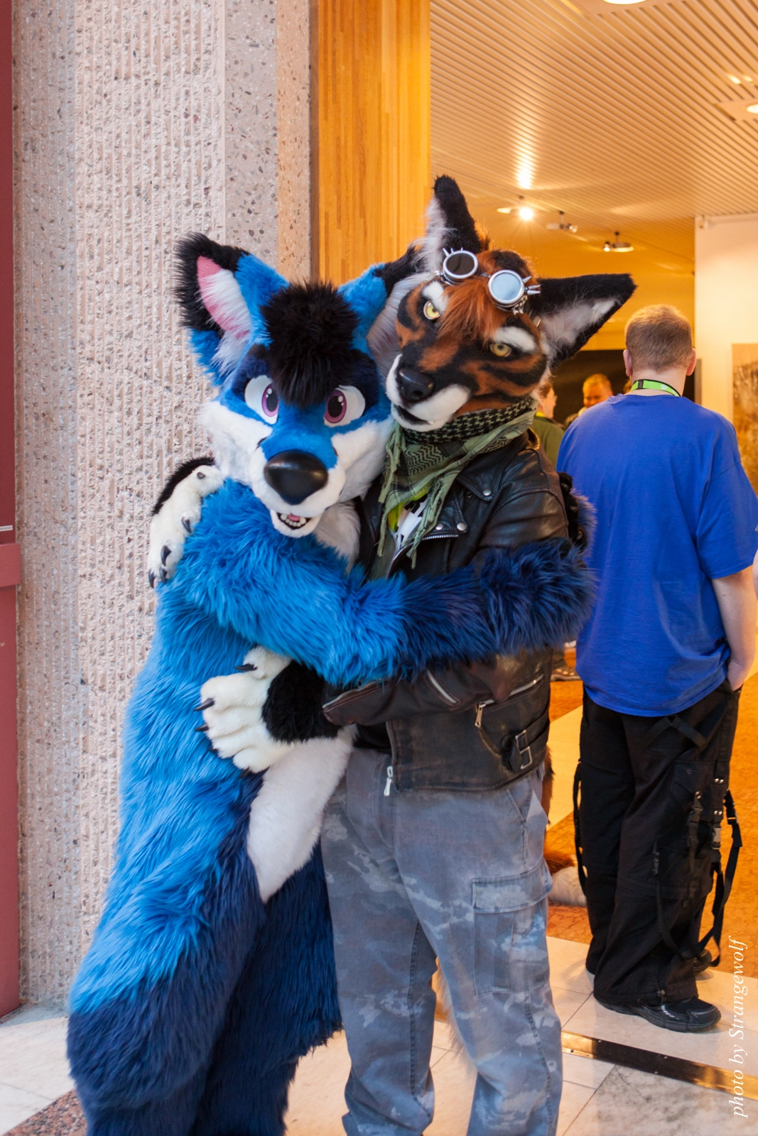 full image IMG_2129-lr16t.jpg