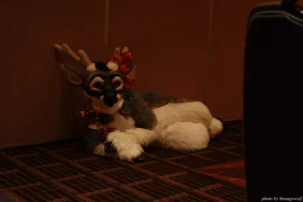 IMG_0324-lr.jpg of MFF/MFF2013/