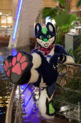 IMG_1880-lr16t.jpg of NFC/NFC2017/