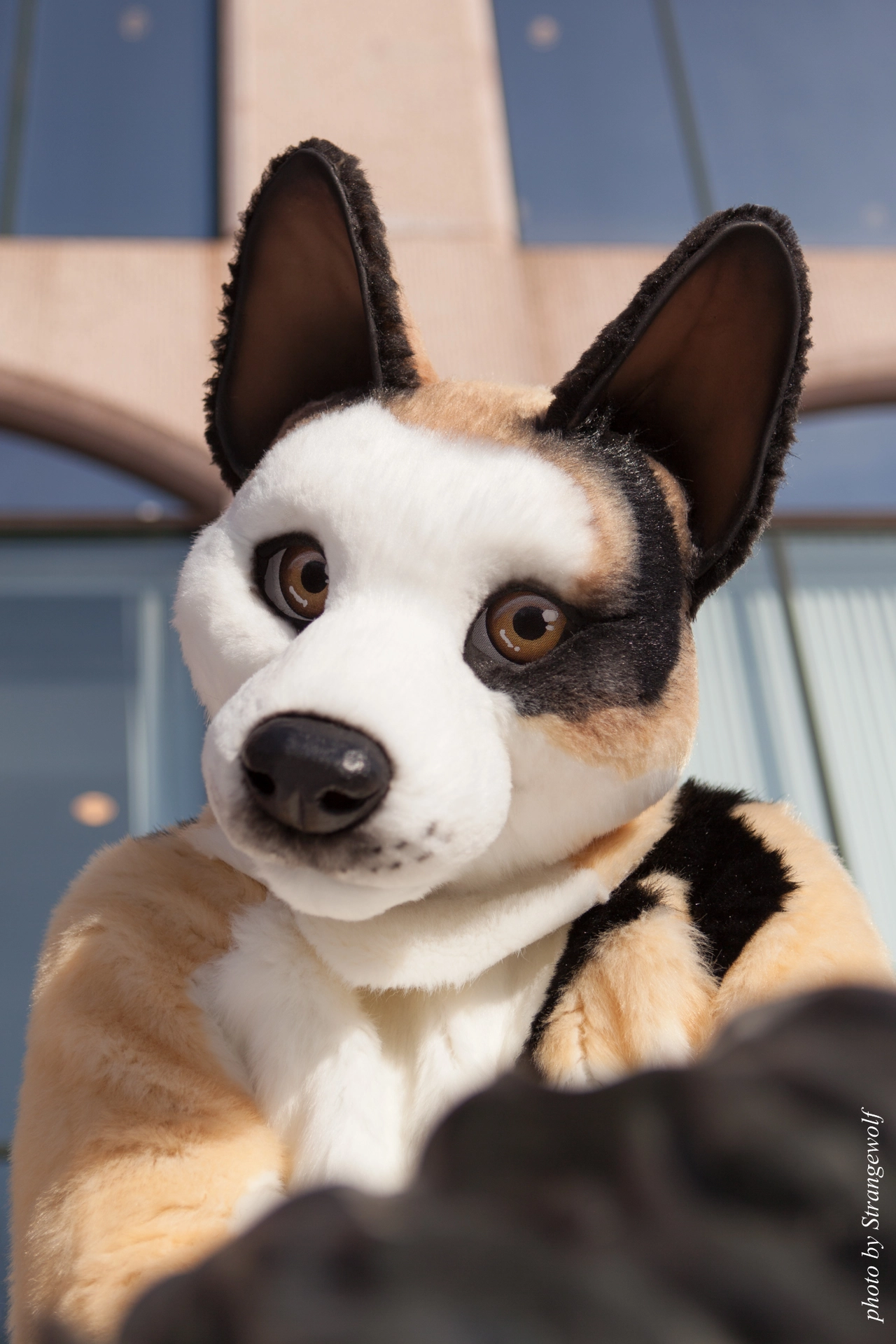 full image IMG_9588-lr19t.jpg