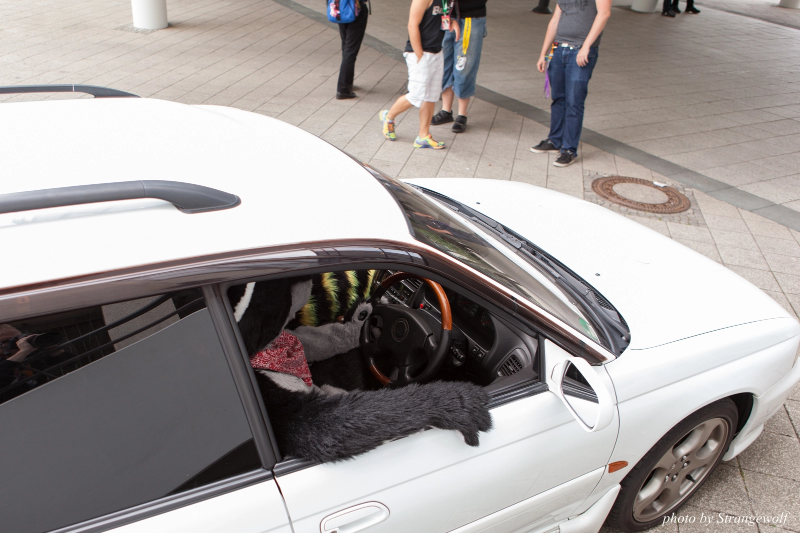 full image IMG_0158-lr16t.jpg
