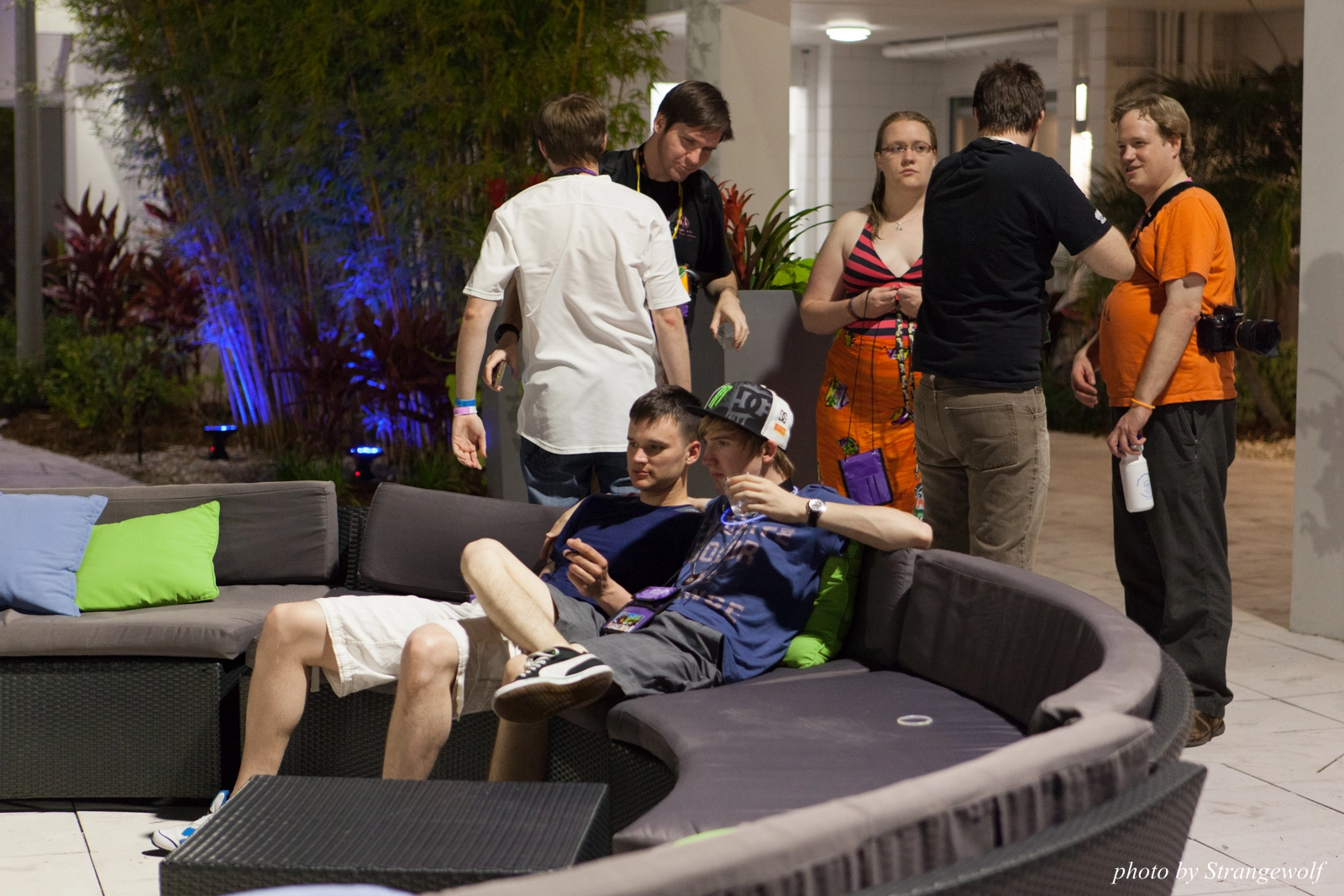 full image IMG_8657-lr16t.jpg