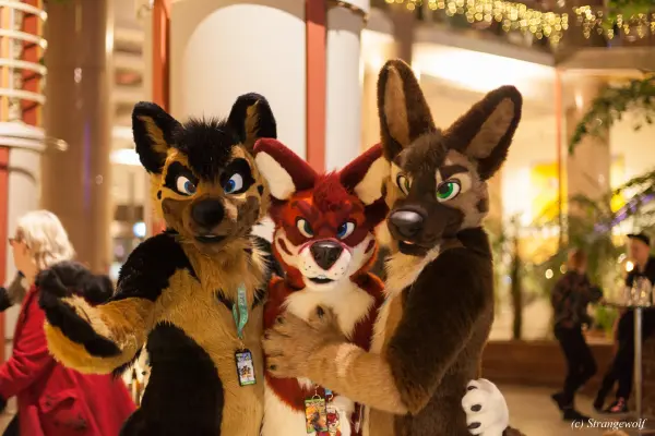 IMG_9933-lr19t.jpg of NFC/NFC2019/