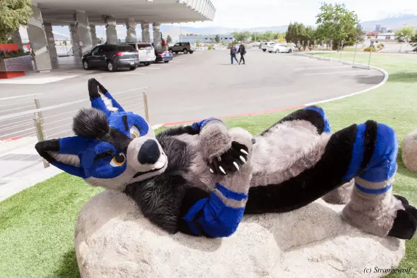 IMG_2810-lr19t.jpg of BLFC/2019/Fotoshoot-Slate/