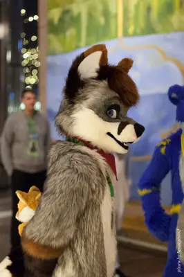 IMG_9296-lr19t.jpg of NFC/NFC2018/