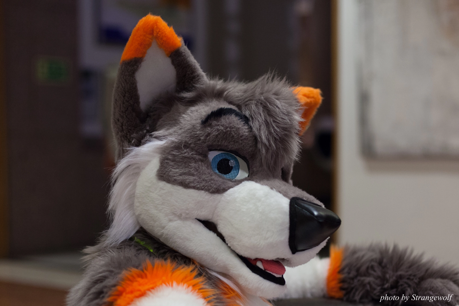 full image IMG_1609-lr16t.jpg