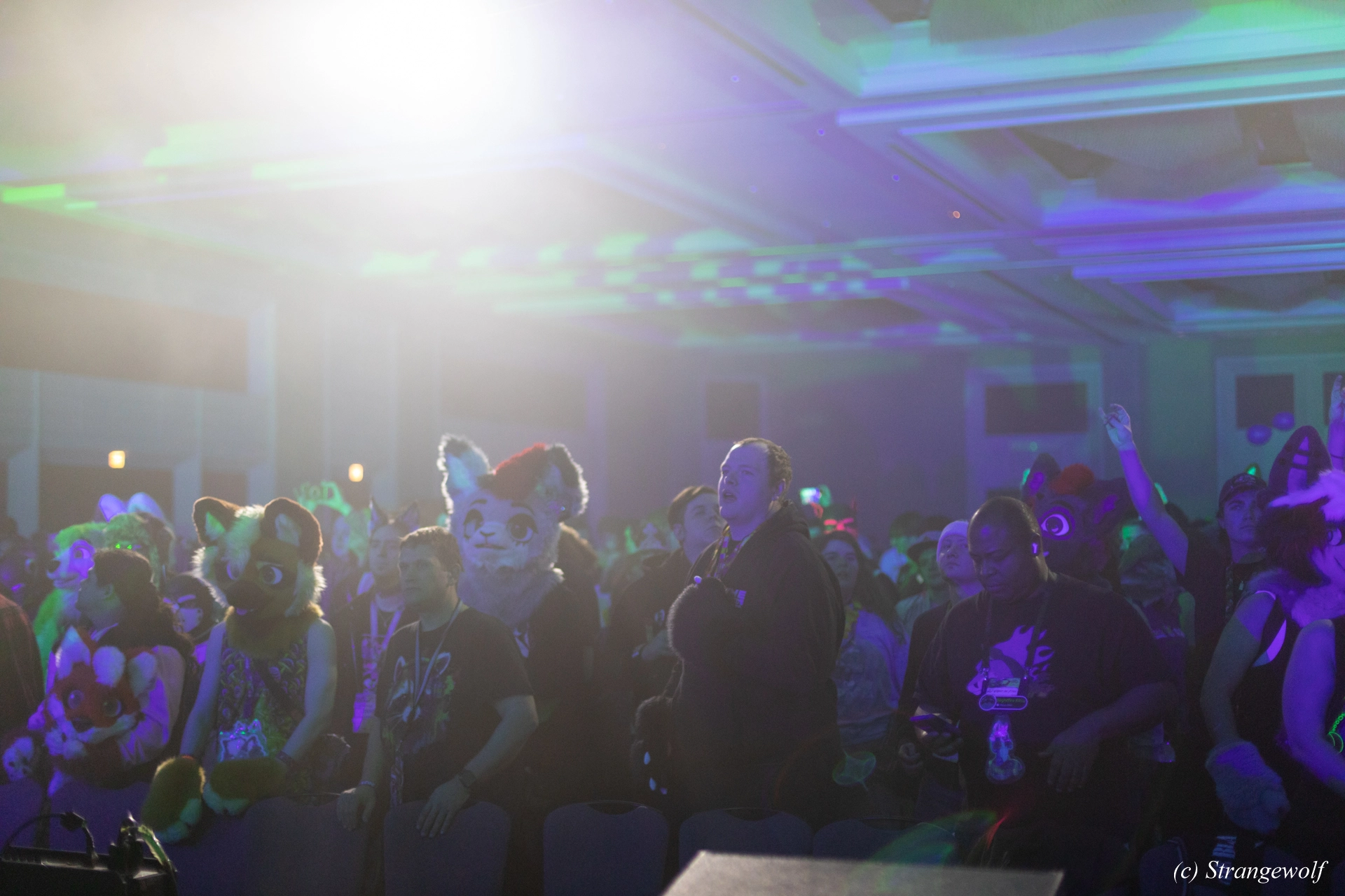 full image 1R3A0516-lr19t.jpg