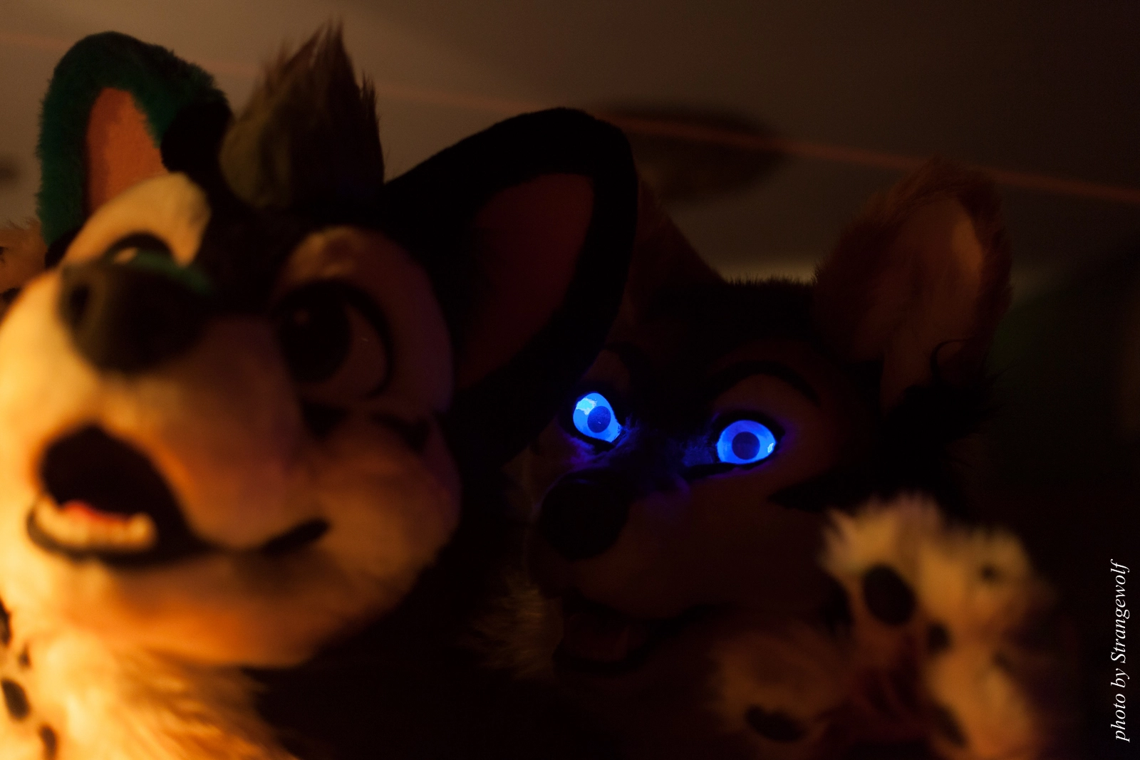 full image IMG_5433-lr16t.jpg