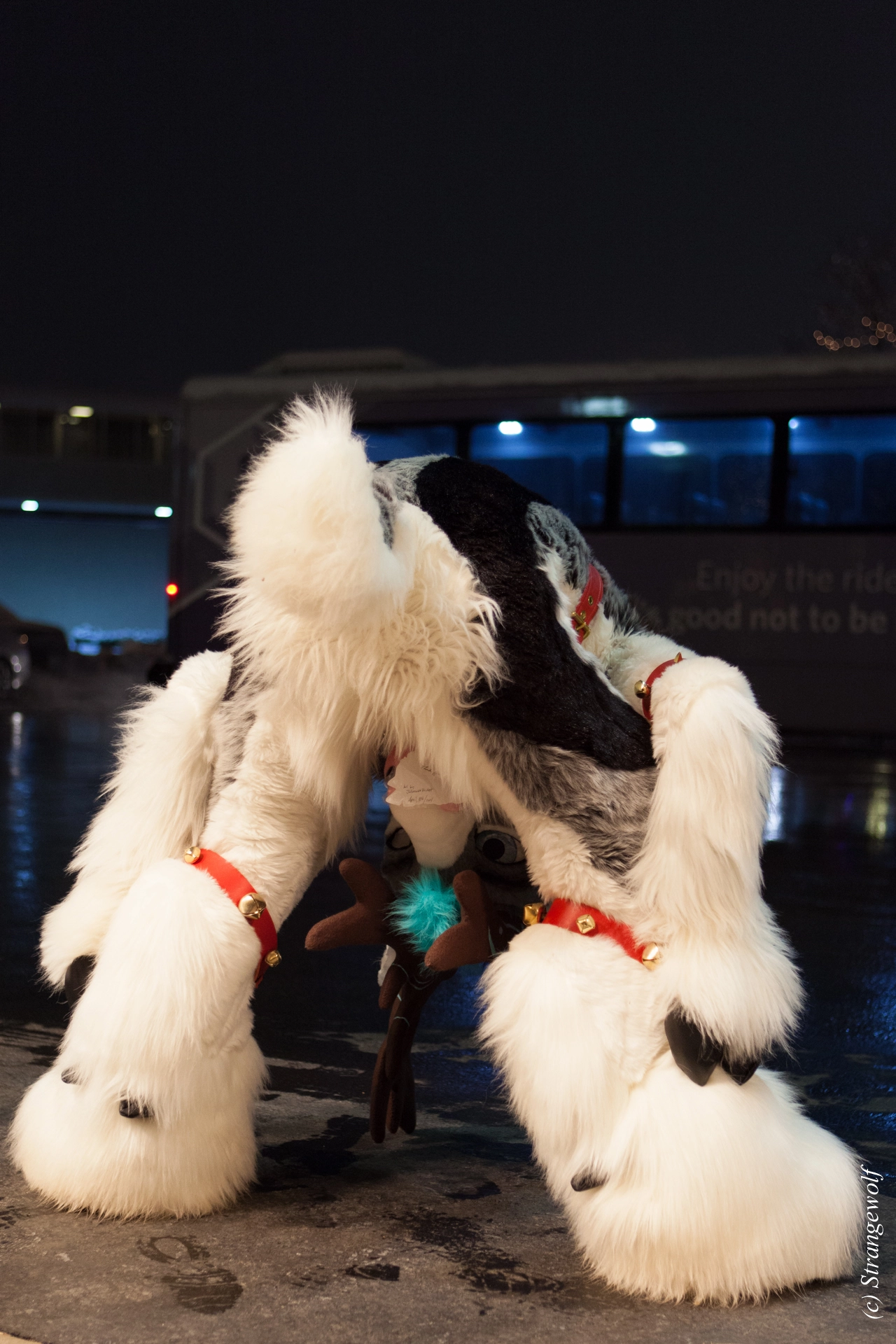 full image IMG_6932-lr19t.jpg