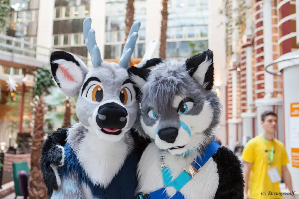 IMG_8699-lr19t.jpg of NFC/NFC2019/