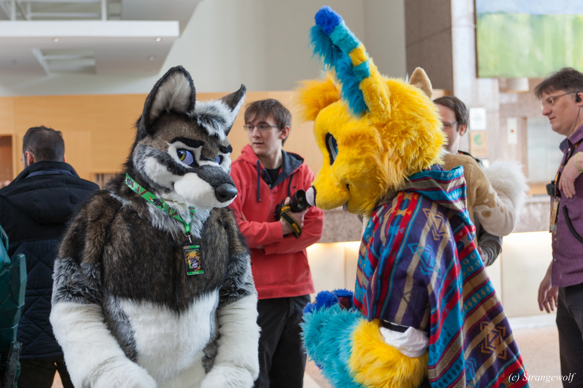 full image IMG_9459-lr19t.jpg