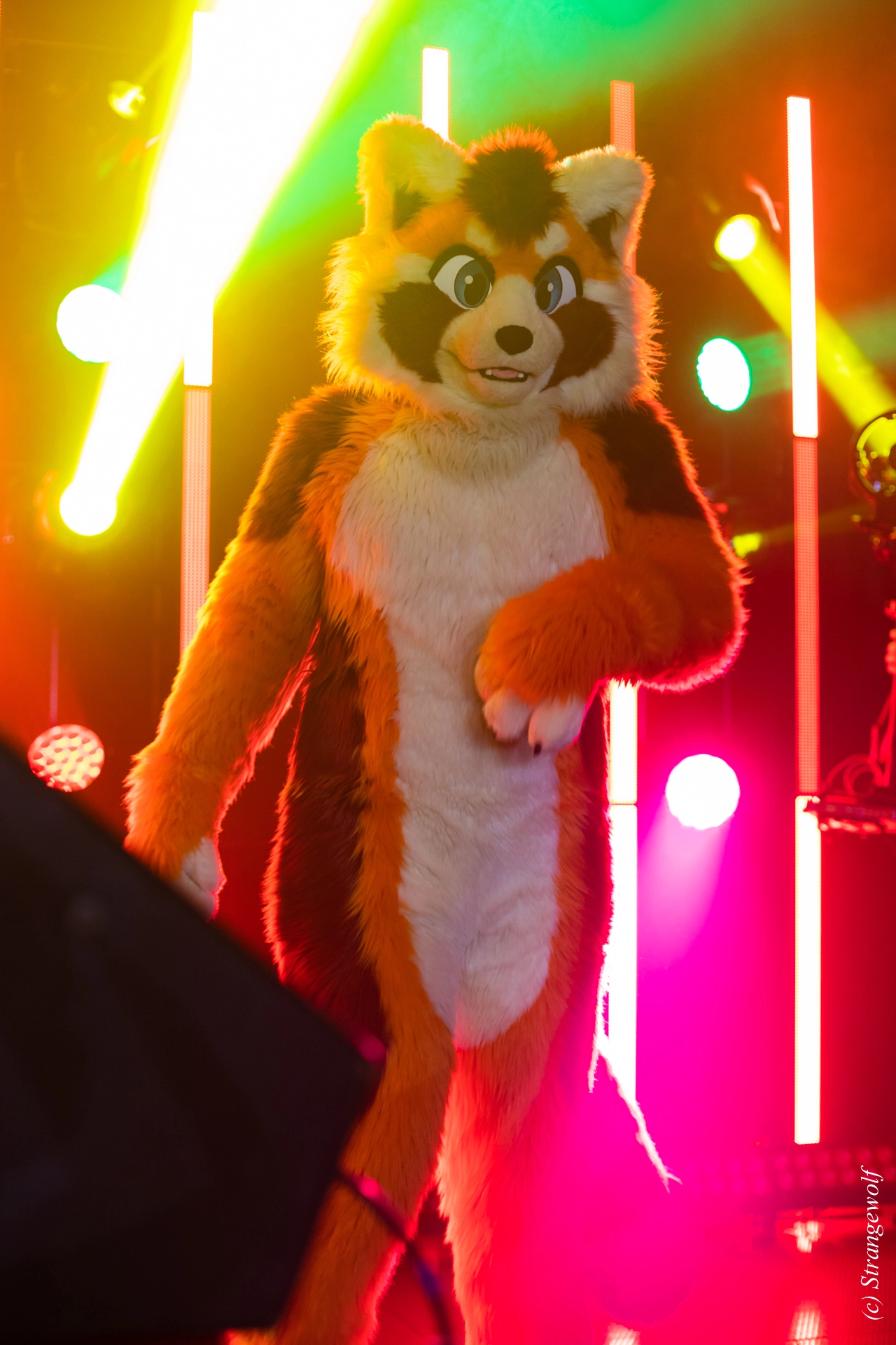 full image 1R3A5539-lr19t.jpg