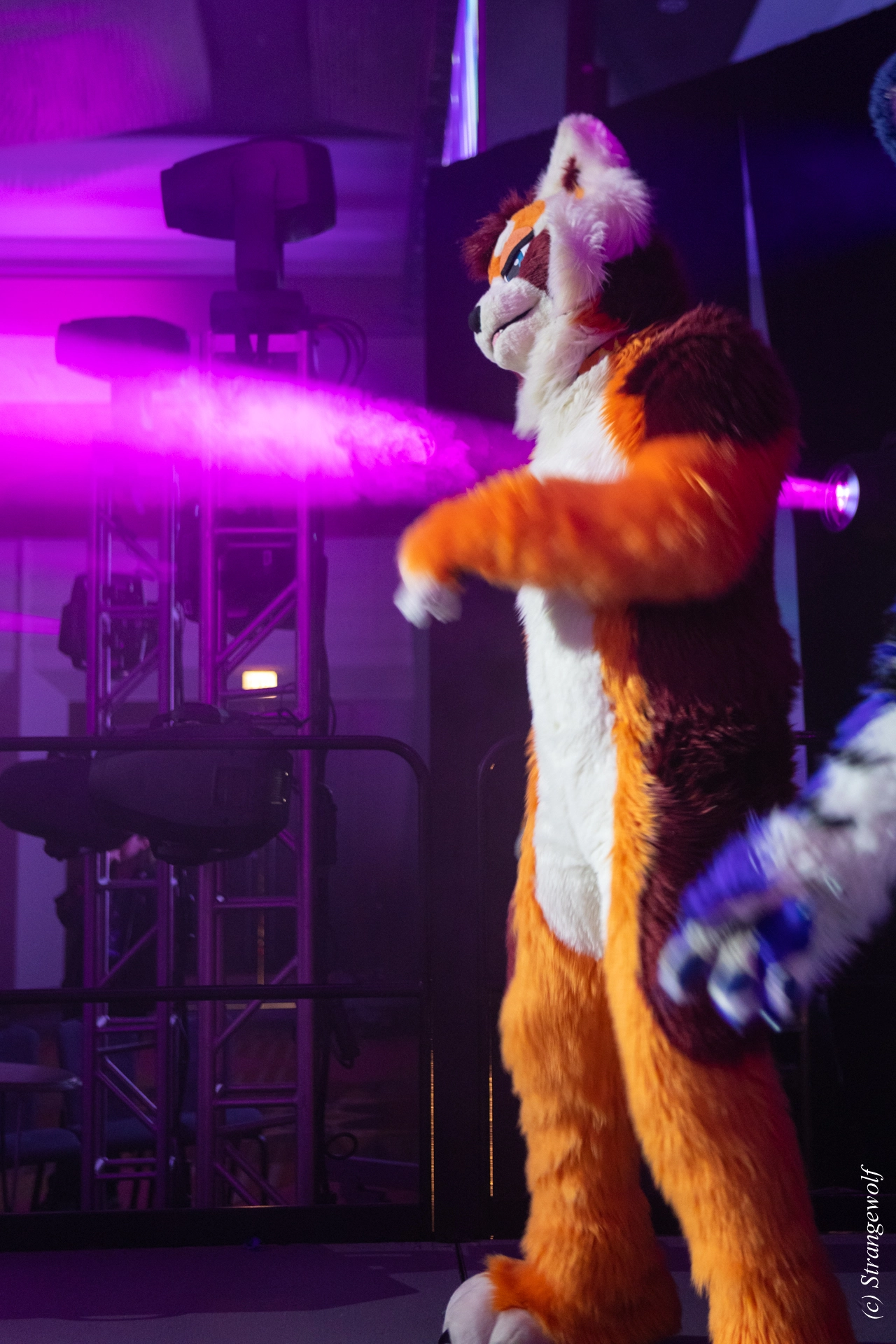 full image 1R3A0817-lr19t.jpg