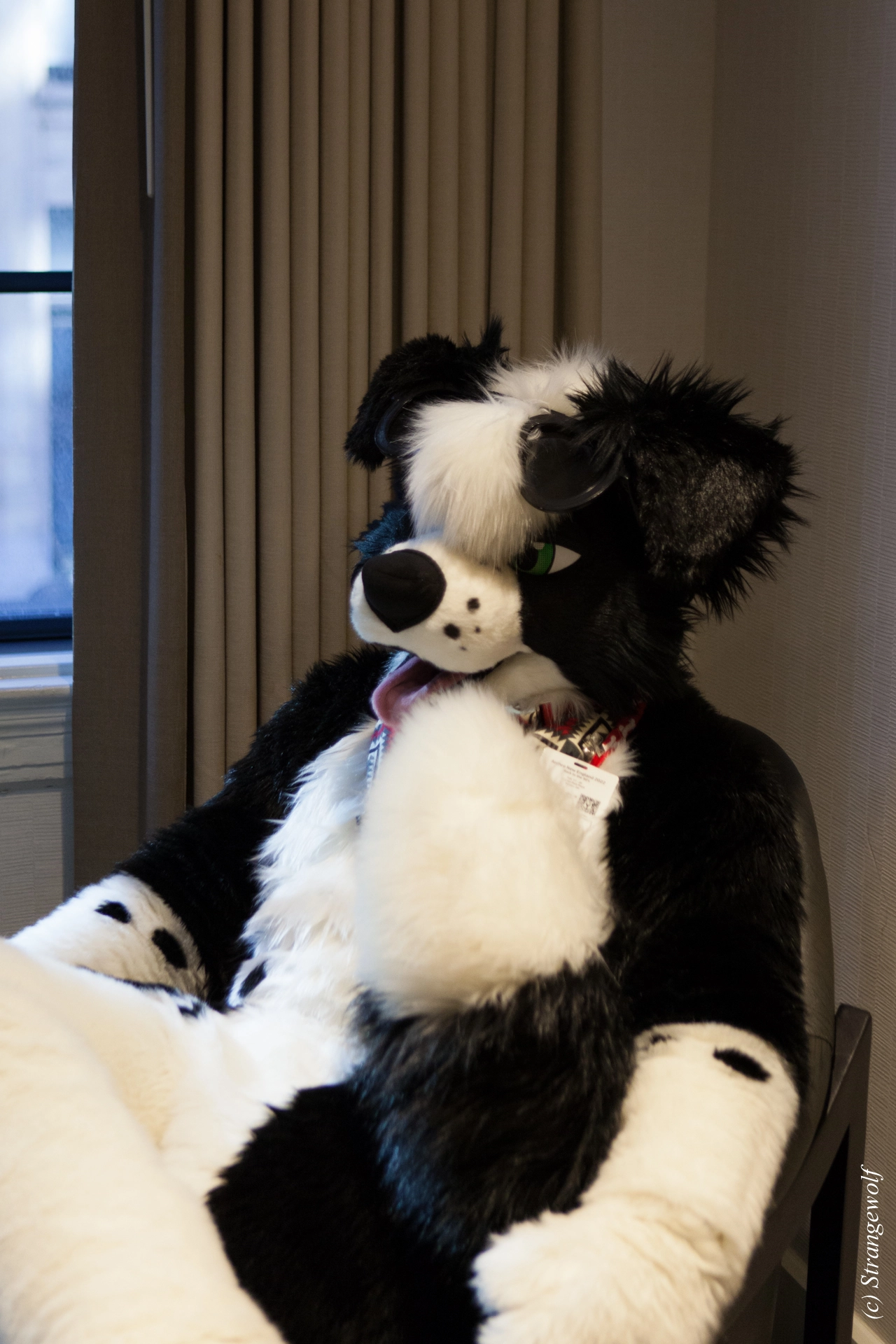 full image IMG_3410-lr19t.jpg
