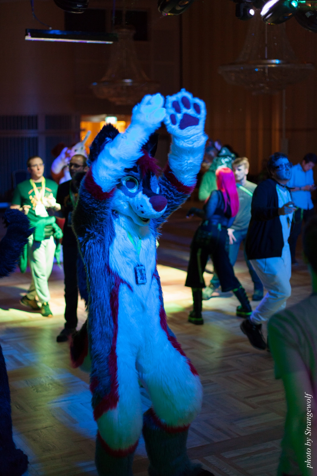 full image IMG_1822-lr16t.jpg