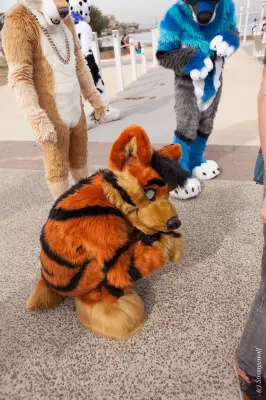 IMG_4399-lr19t.jpg of HCFC/HCFC2019/