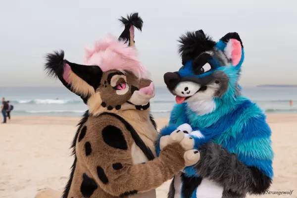 IMG_4456-lr19t.jpg of HCFC/HCFC2019/