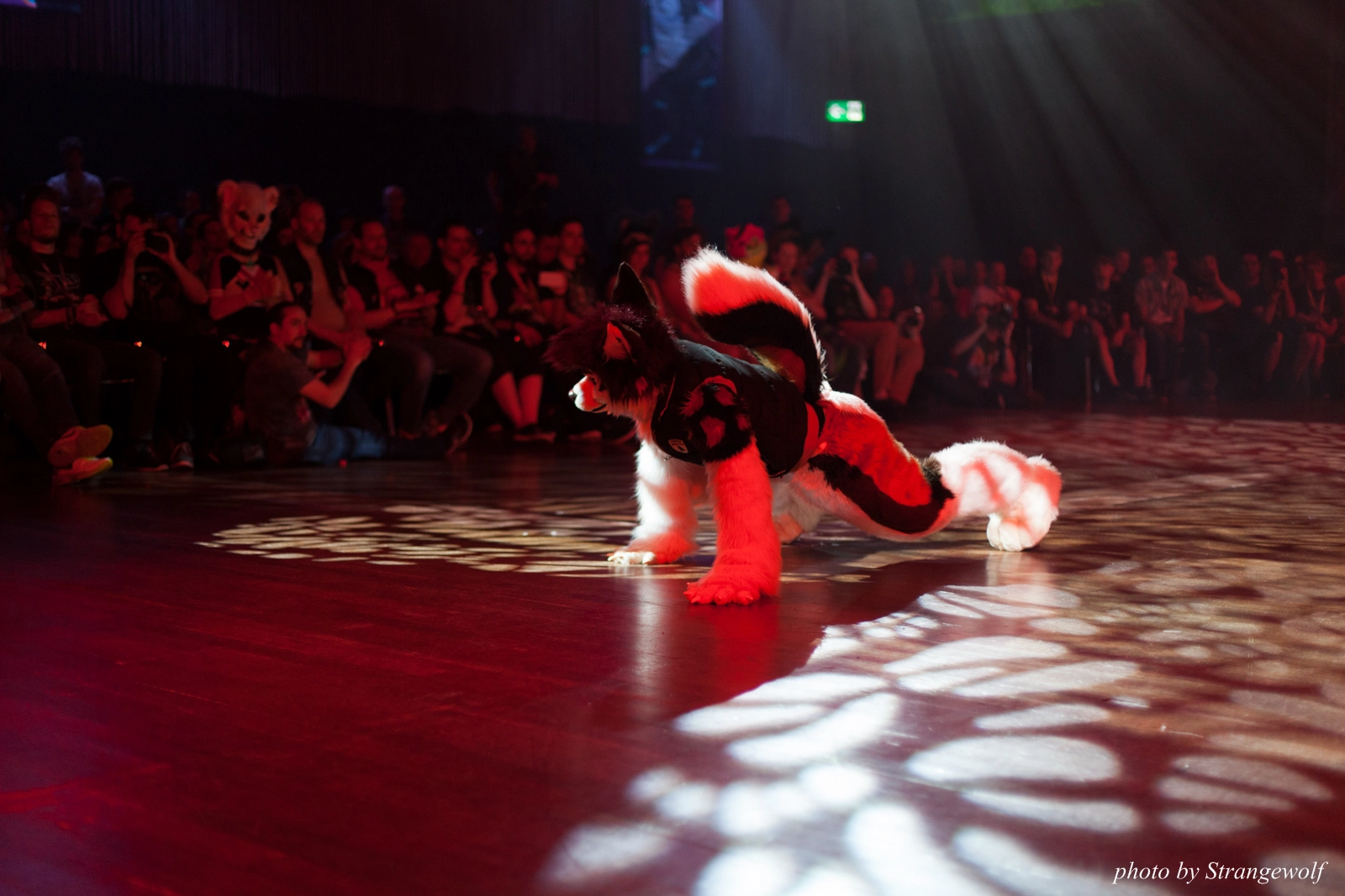 full image IMG_9426-lr16t.jpg