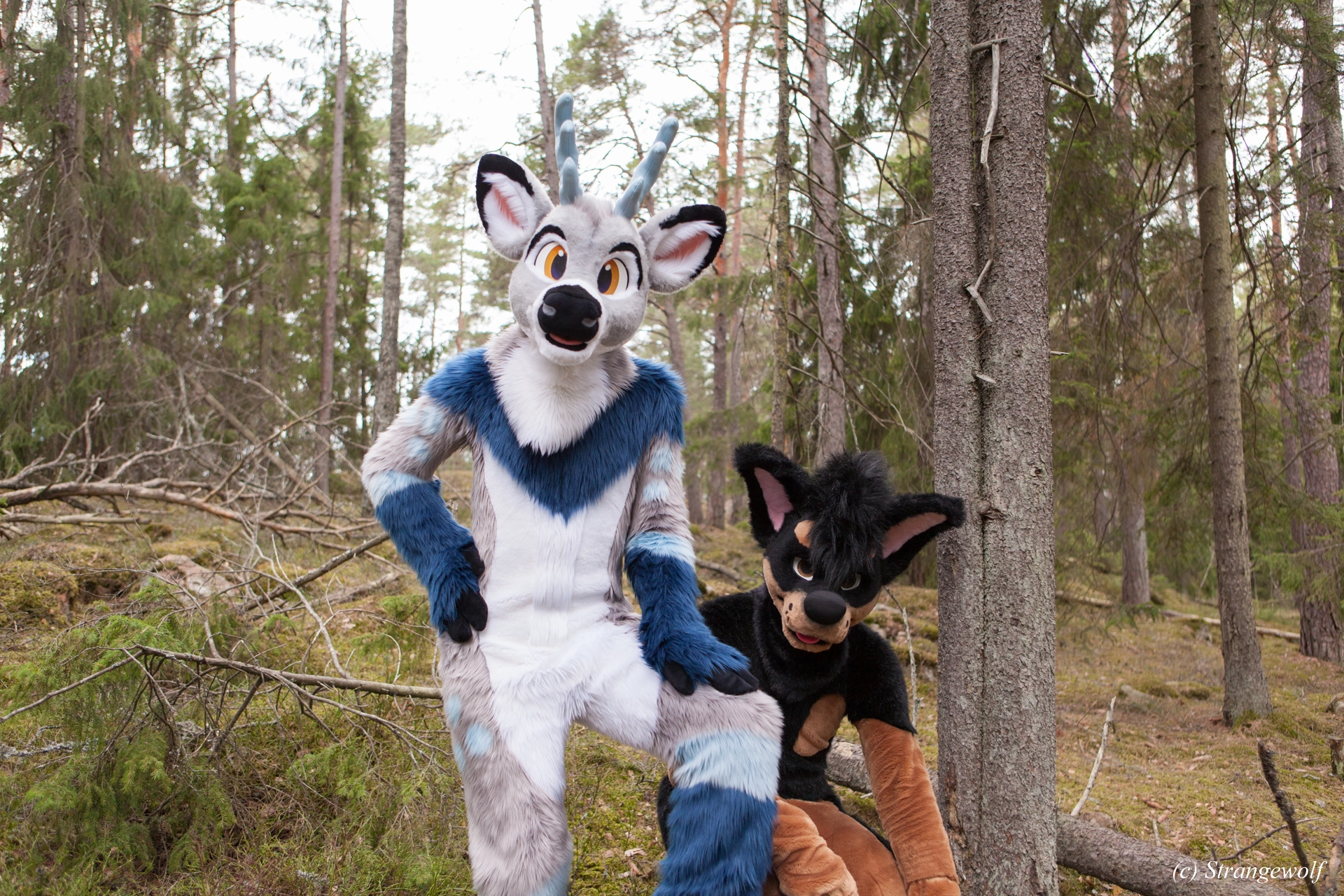 full image IMG_8550-lr19t.jpg