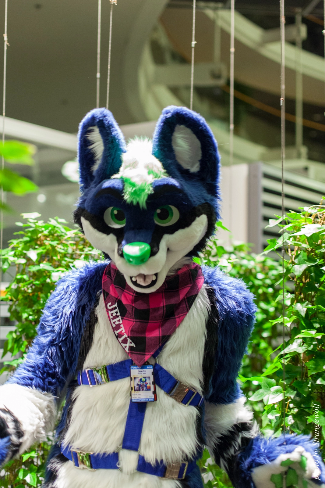 full image IMG_2007-lr16t.jpg