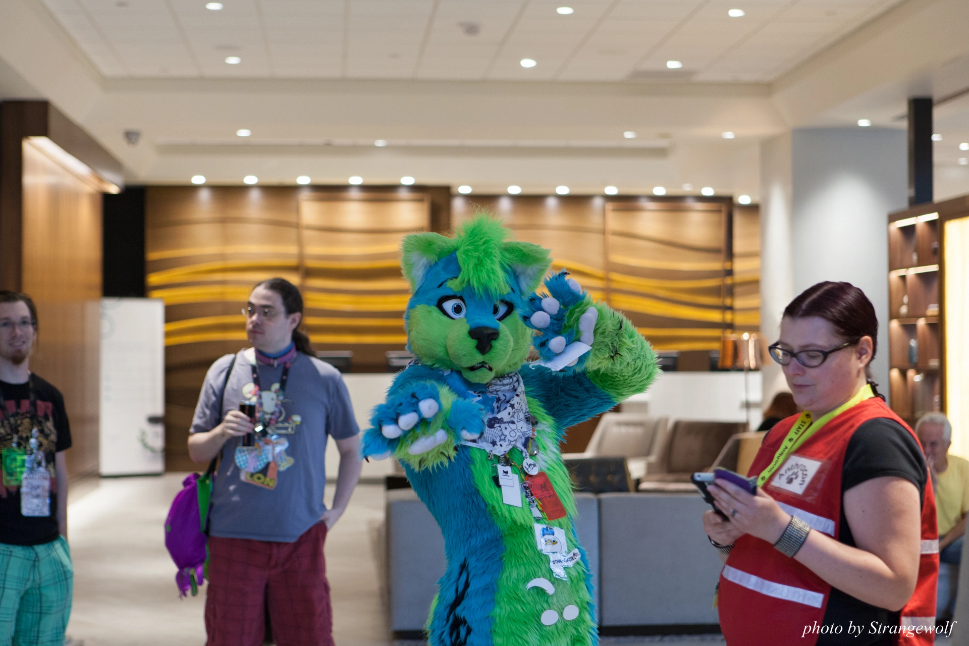 full image IMG_9585-lr19t.jpg