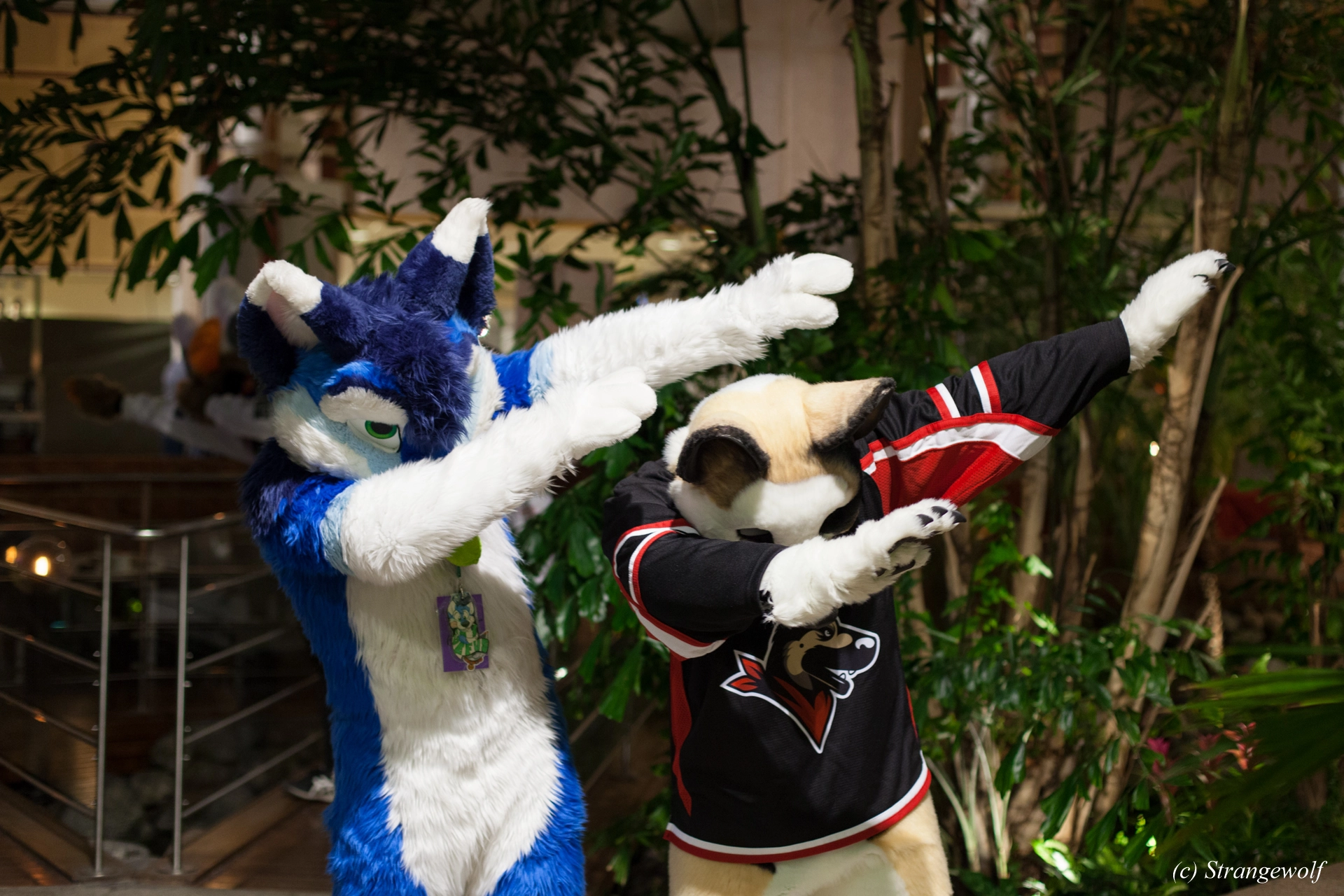 full image IMG_9063-lr19t.jpg