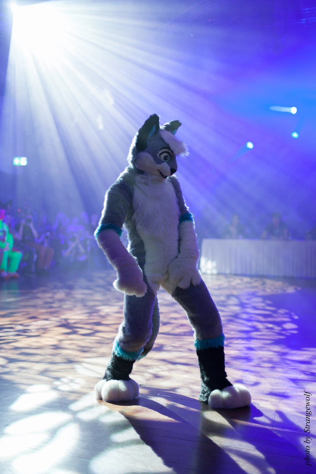 full image IMG_9125-lr16t.jpg