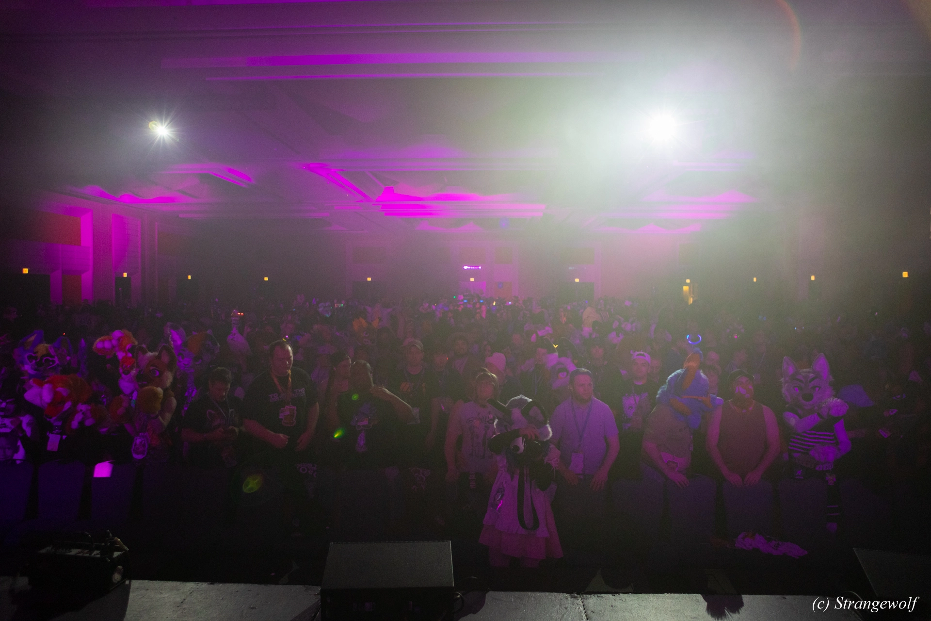 full image 1R3A0822-lr19t.jpg