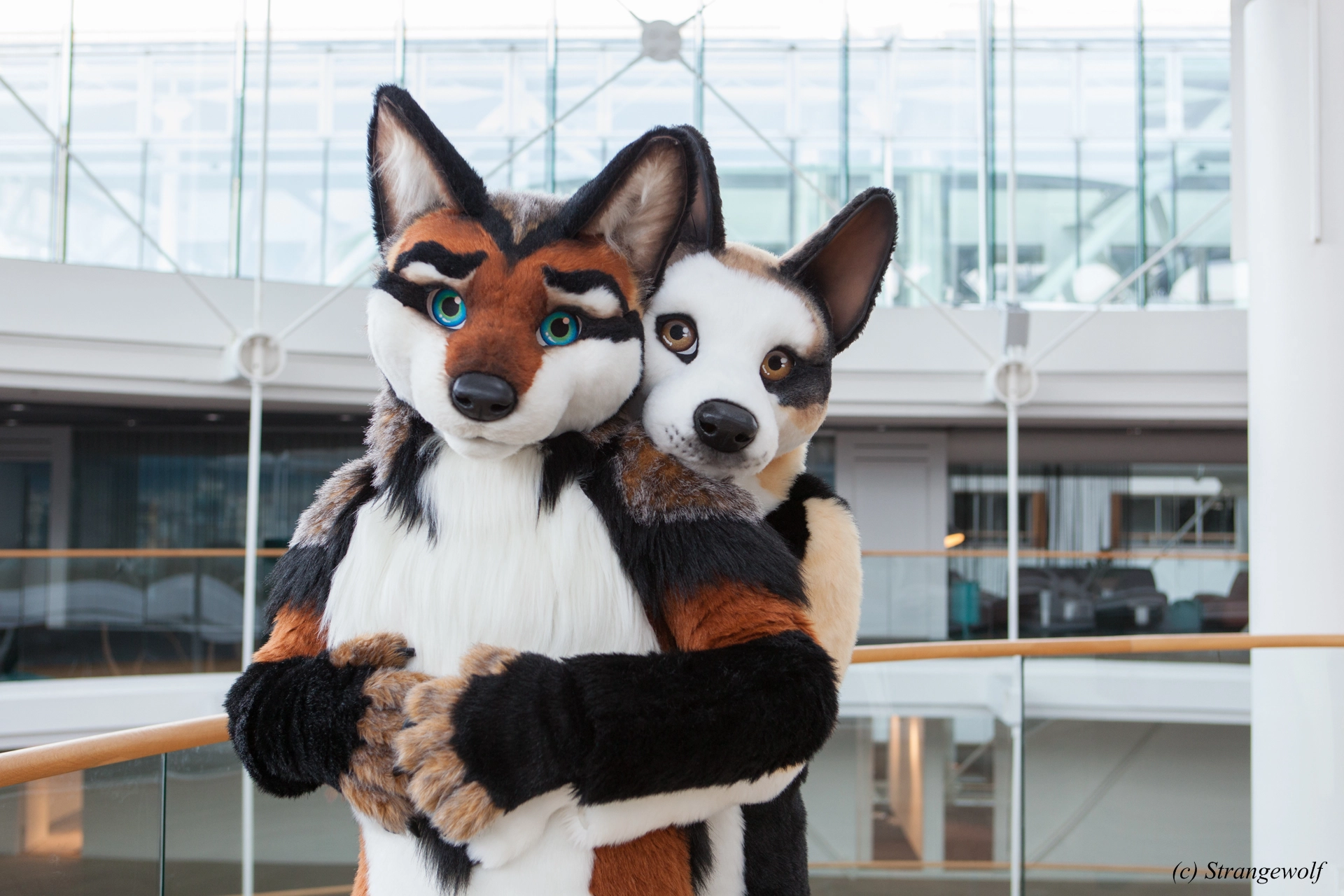 full image IMG_0463-lr19t.jpg