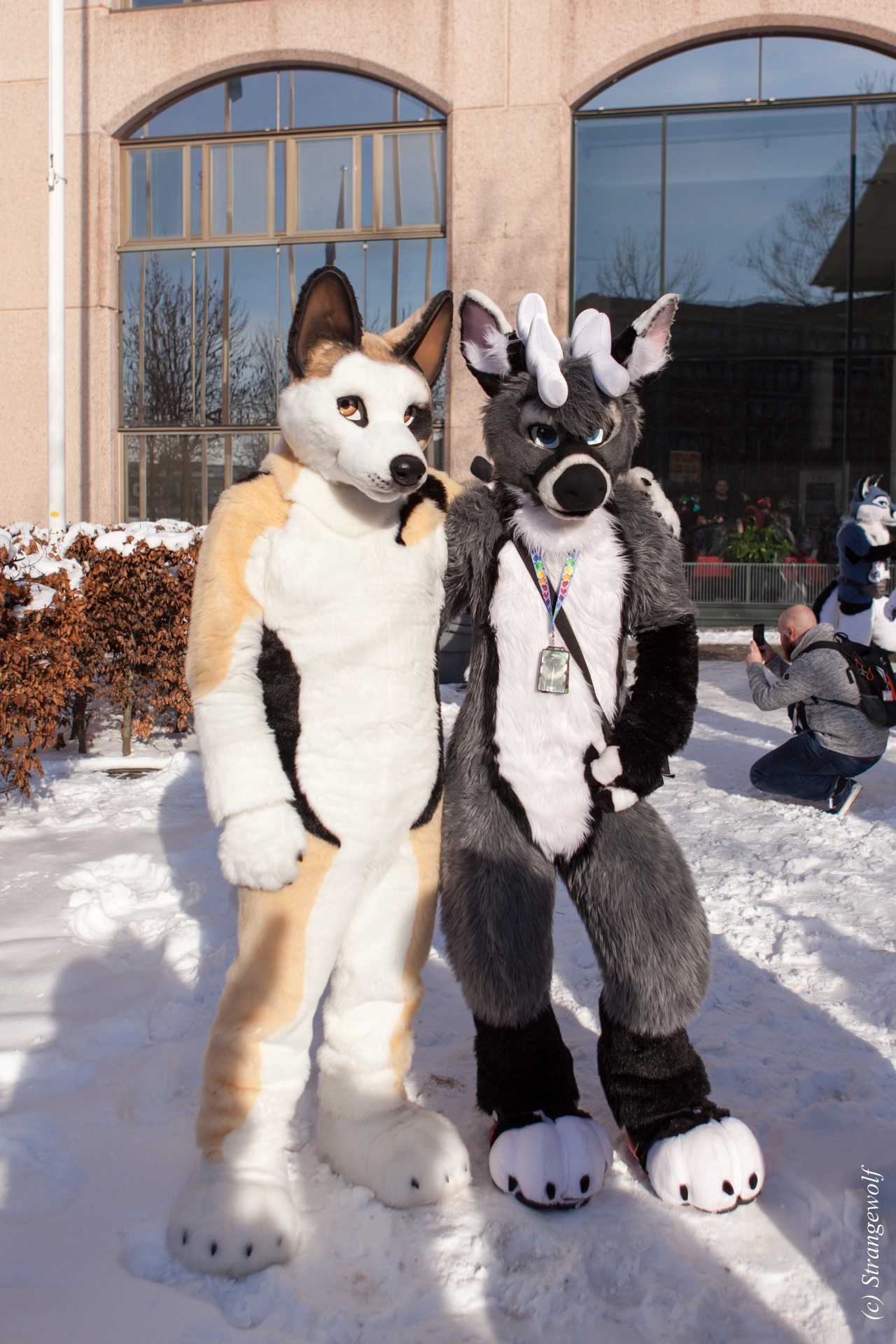 full image IMG_9621-lr19t.jpg