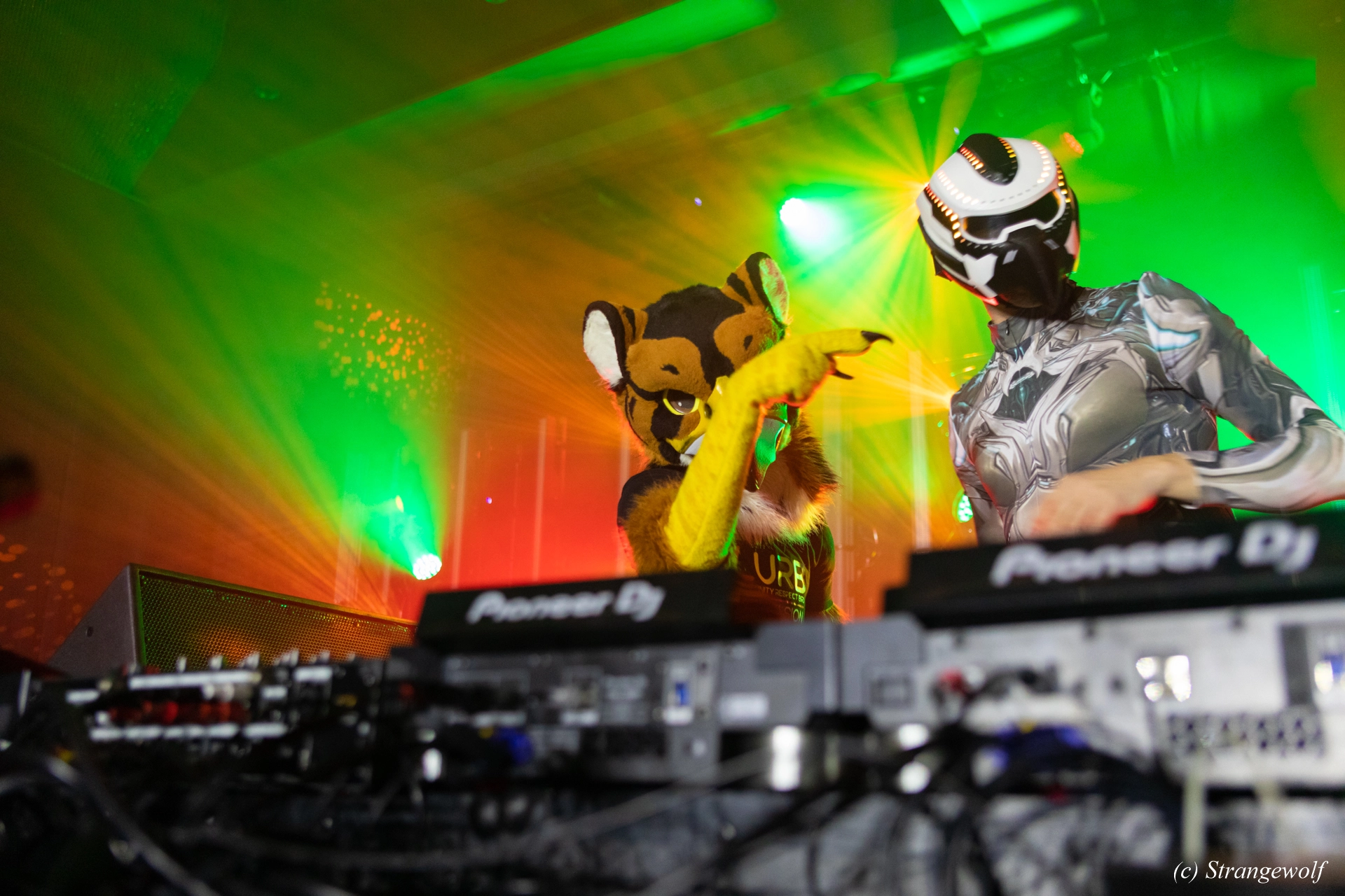 full image 1R3A4692-lr19t.jpg